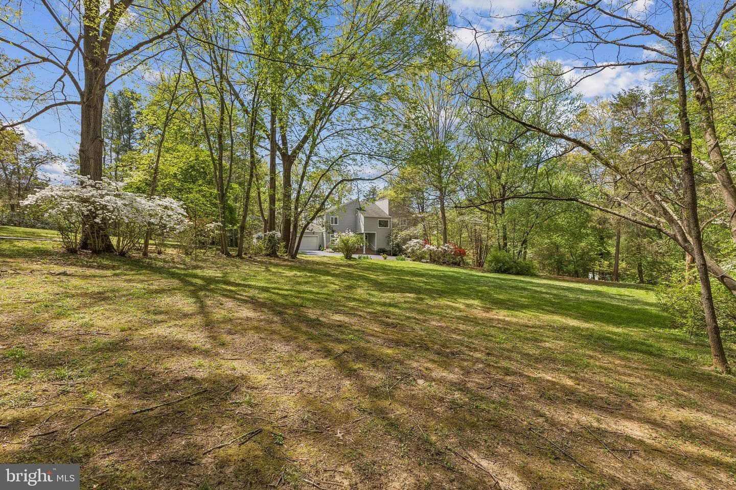 2416 Sunny Meadow Lane photo 3