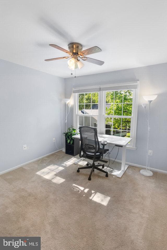 13338 Point Rider Lane photo 24