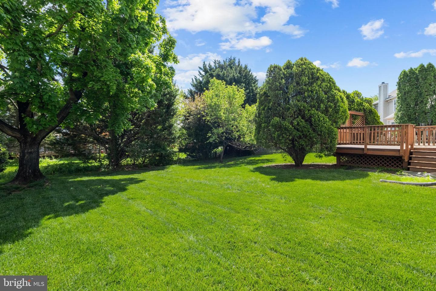 3643 Paoli Court photo 50