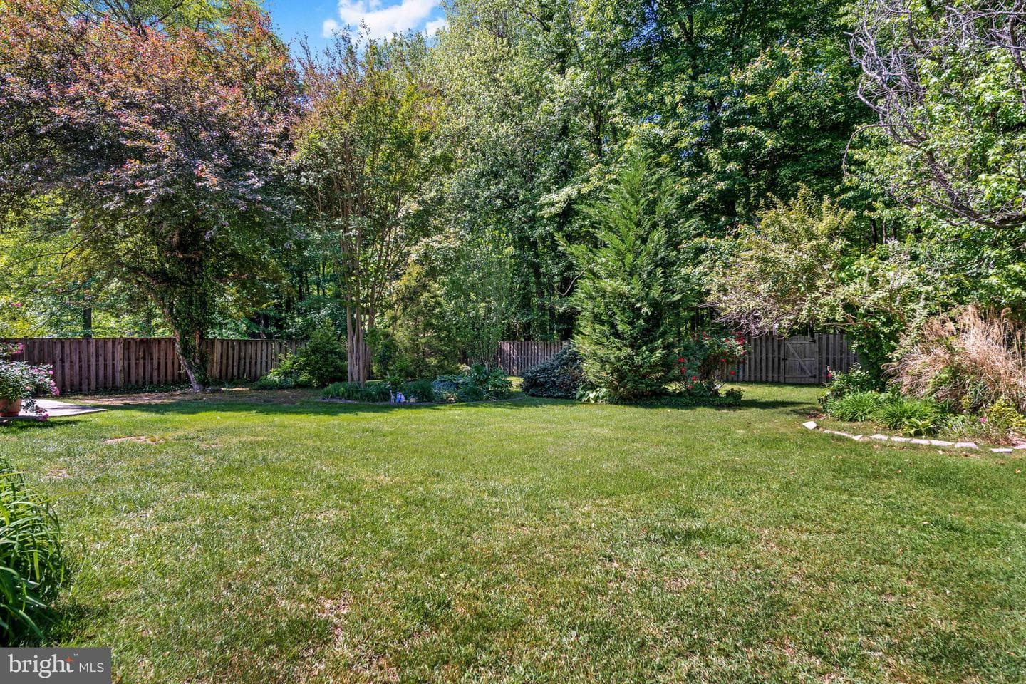 8114 Orville Street photo 55
