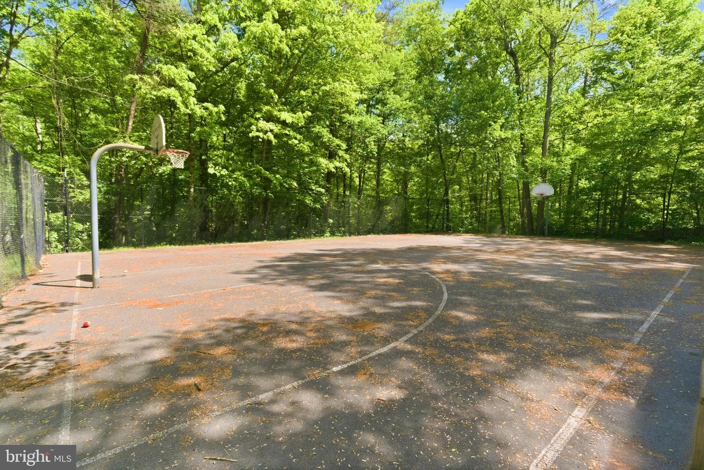 7211 Laketree Drive photo 80