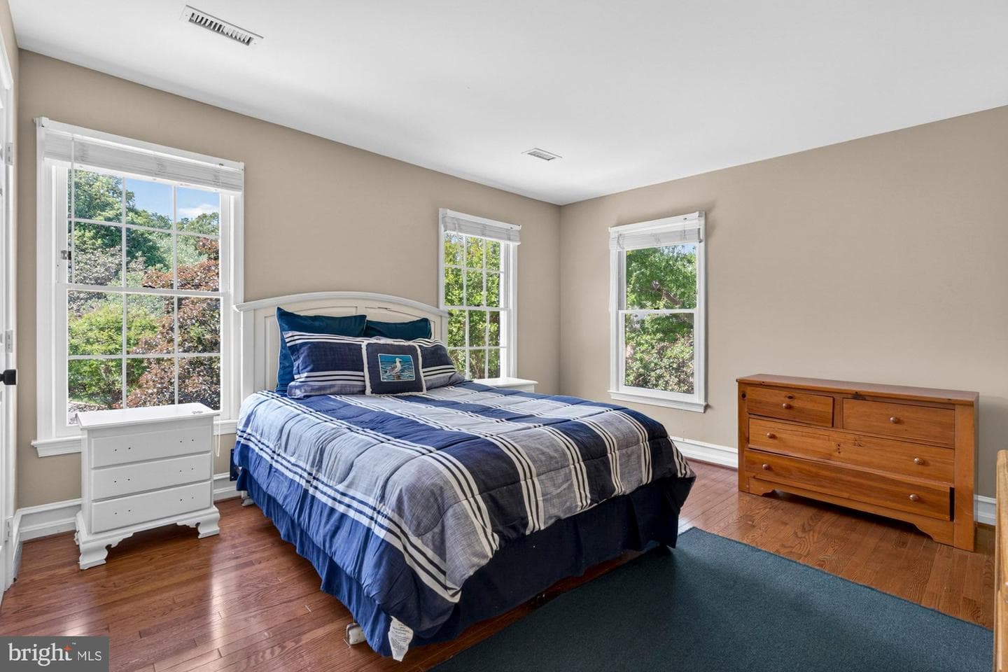 3501 Birdsboro Drive photo 60