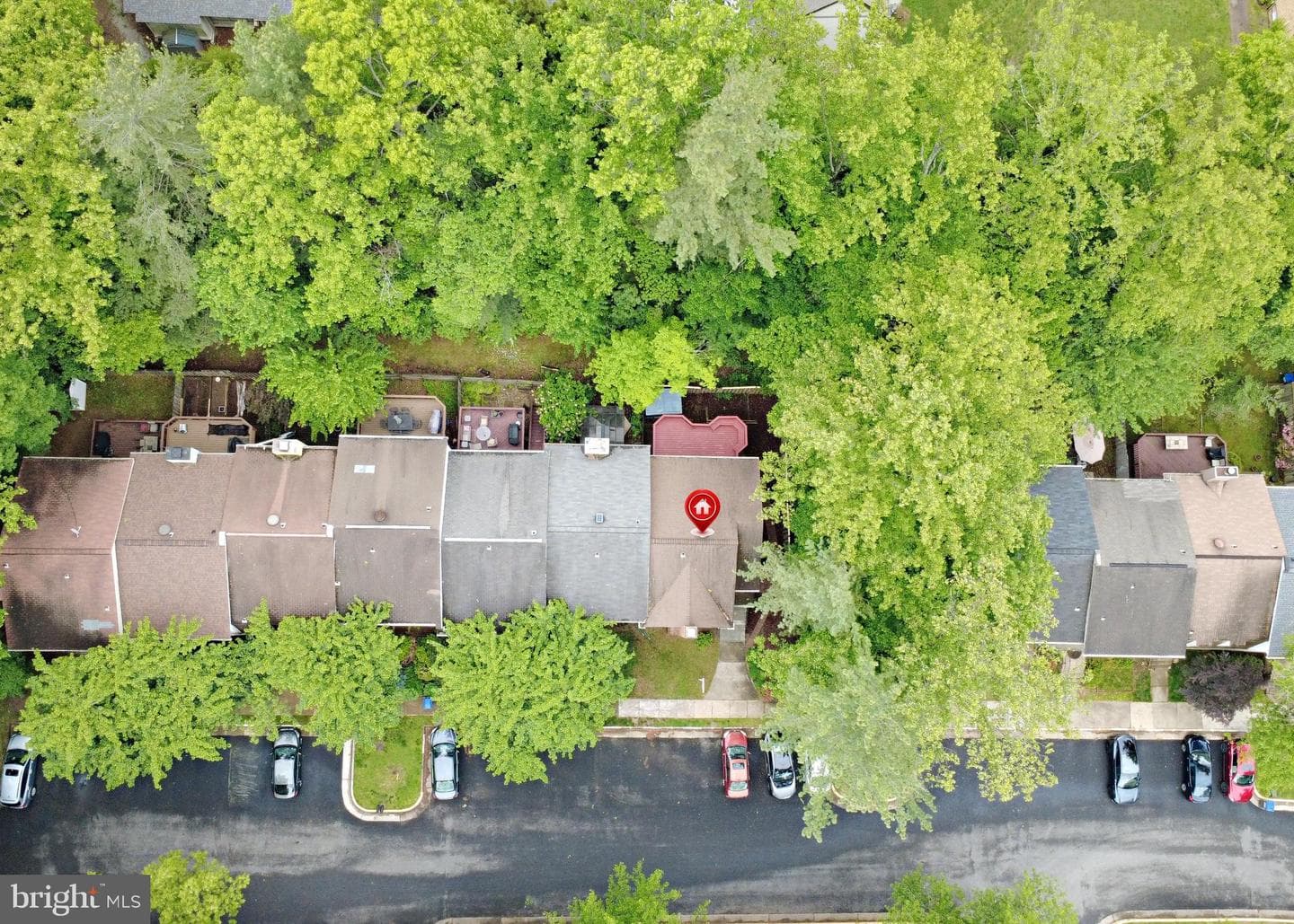 10041 Chestnut Wood Lane photo 33