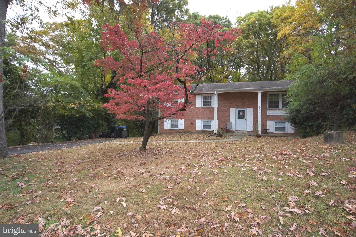 9921 Woodrow Street photo 27
