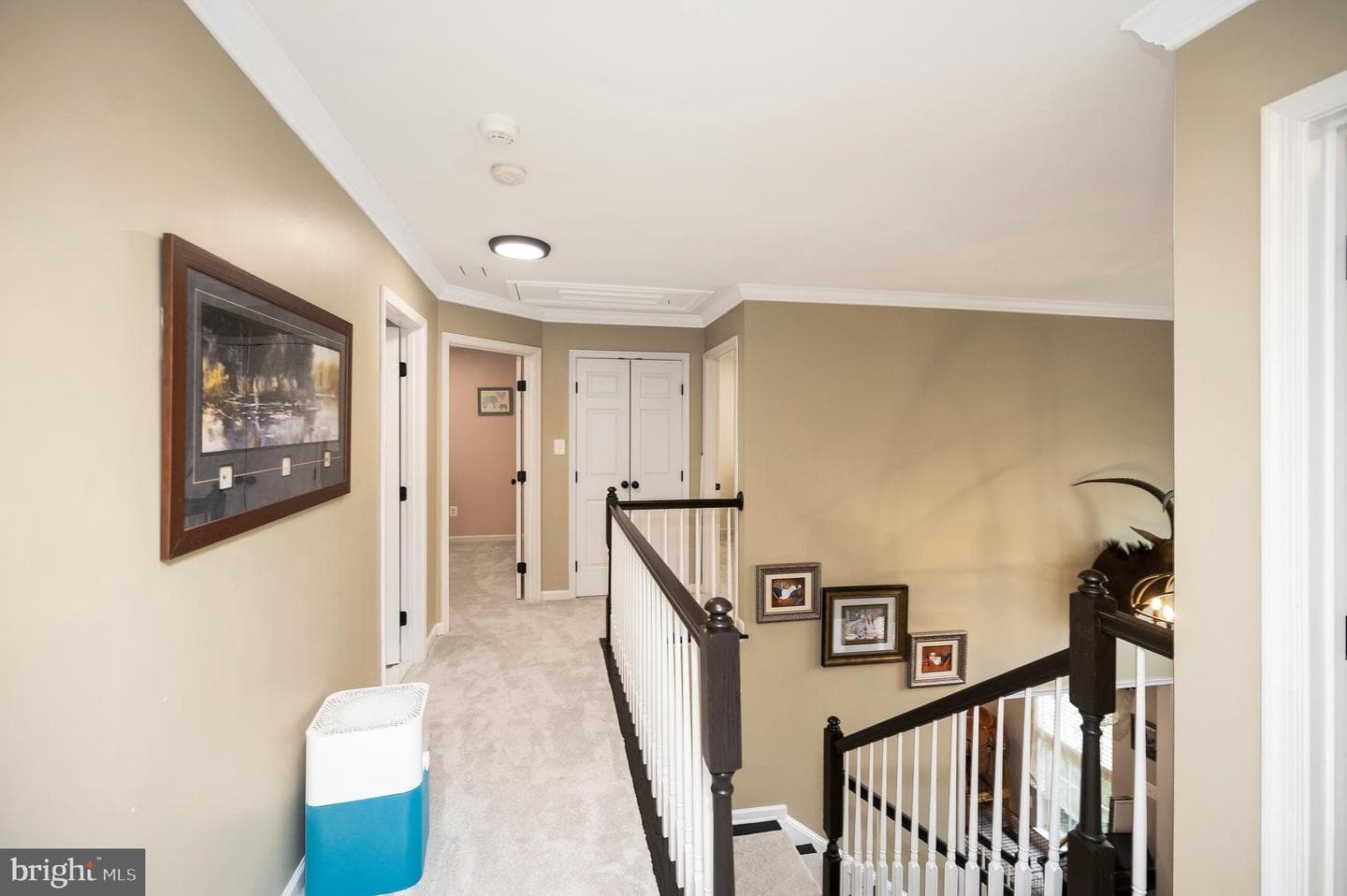3625 Drews Court photo 27