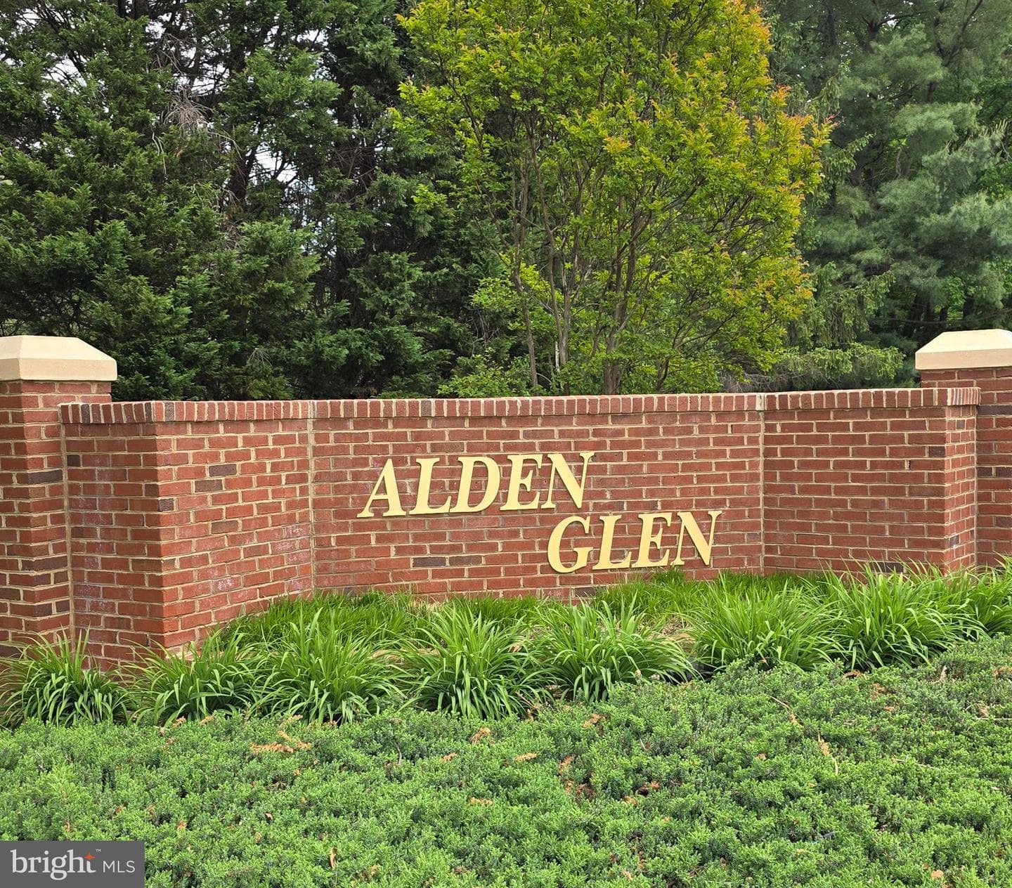4467 Holly Avenue photo 44