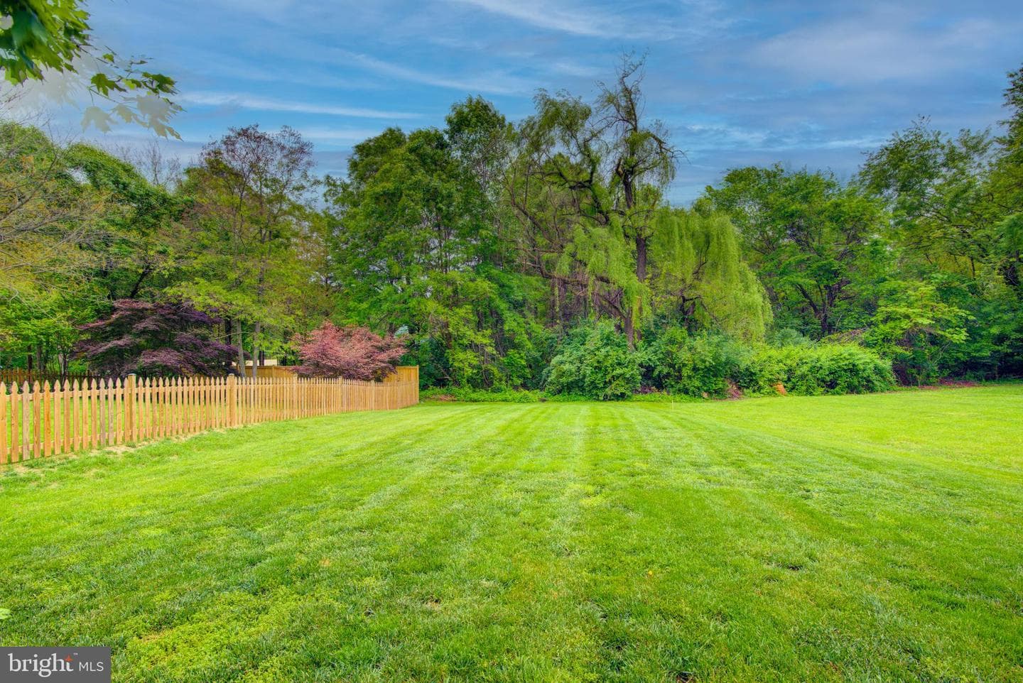 12719 Hitchcock Court photo 53