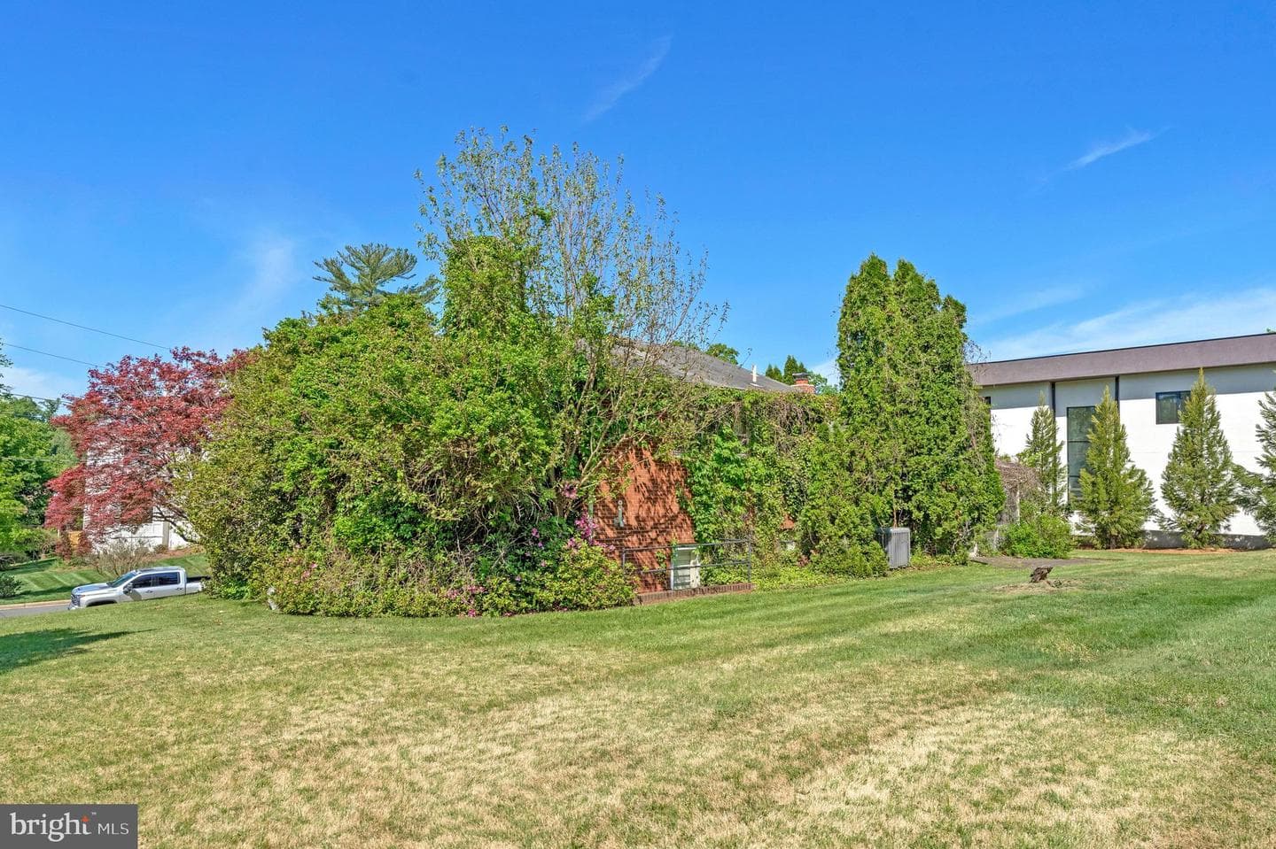 1805 Dumbarton Street photo 5