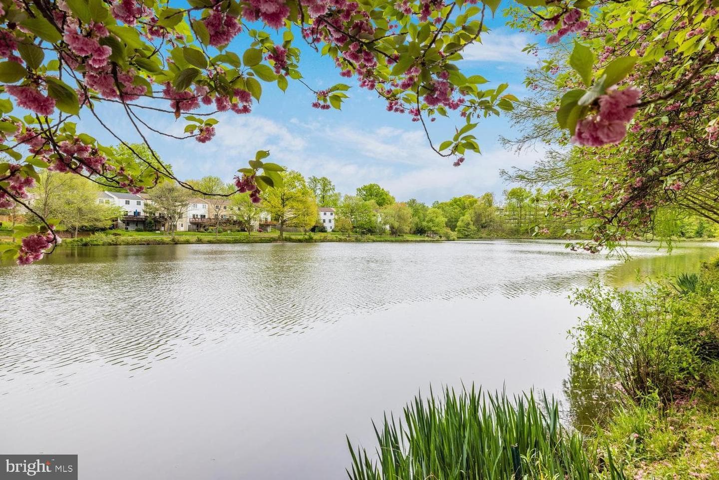 2922 Bridgehampton Court photo 33