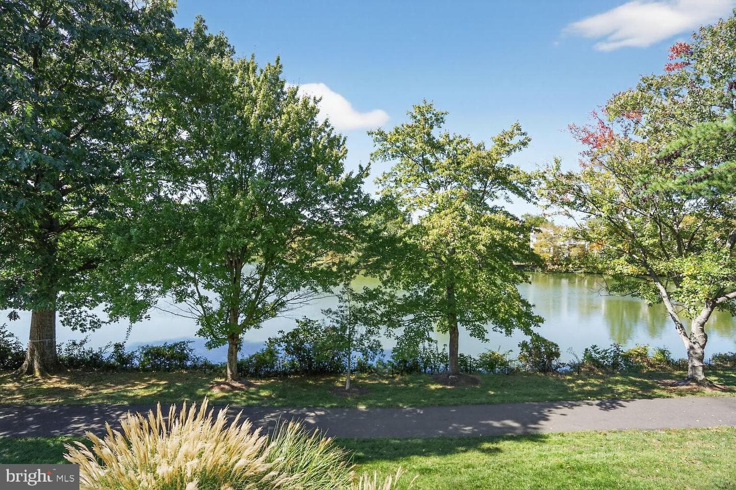 2922 Bridgehampton Court photo 36