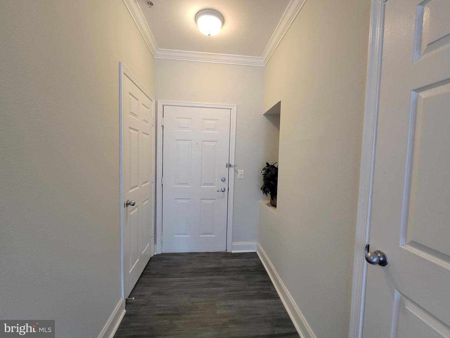 3009 Nicosh Circle #4301 photo 18