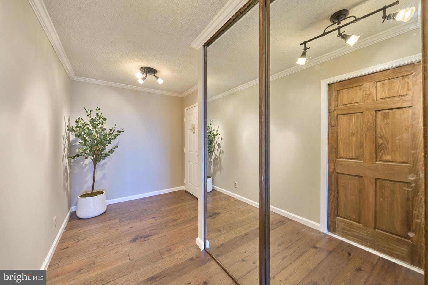 5903 Mount Eagle Drive #1110 photo 5