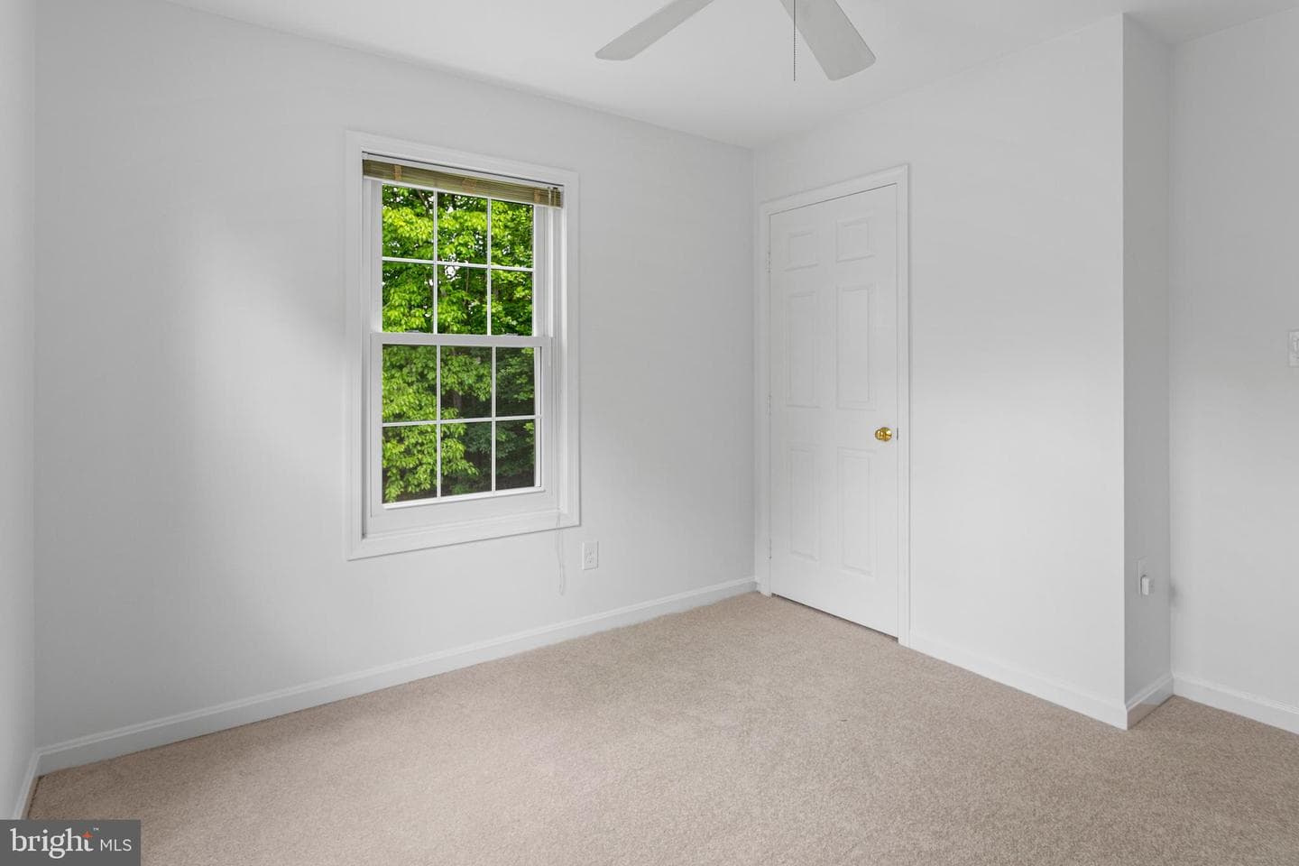 9348 Mccarthy Woods Court photo 42