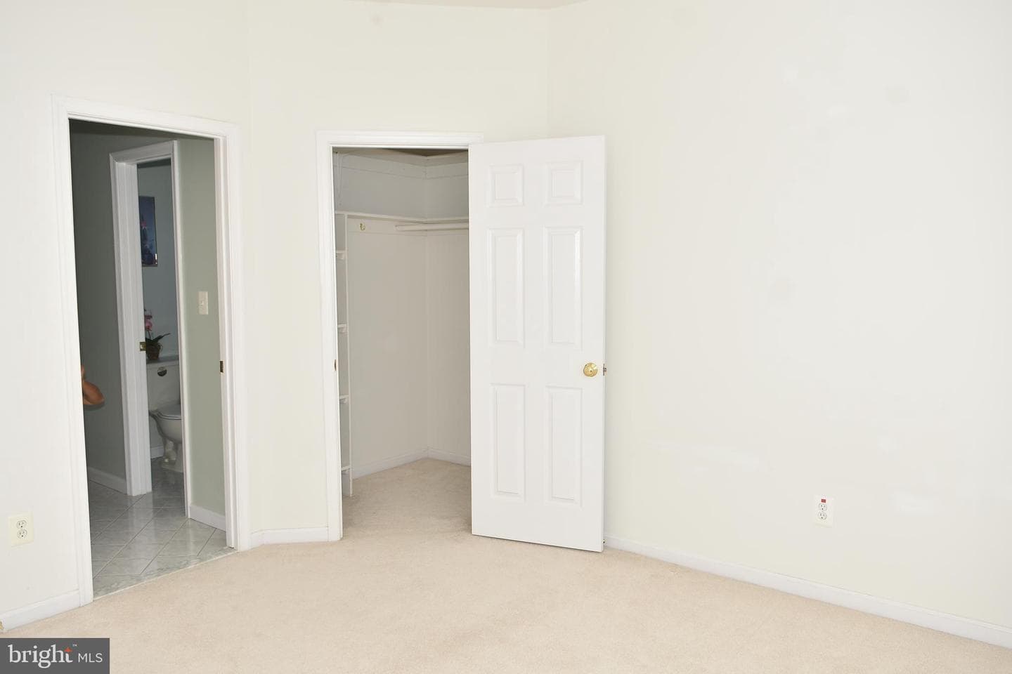 12511 Rochester Drive photo 43