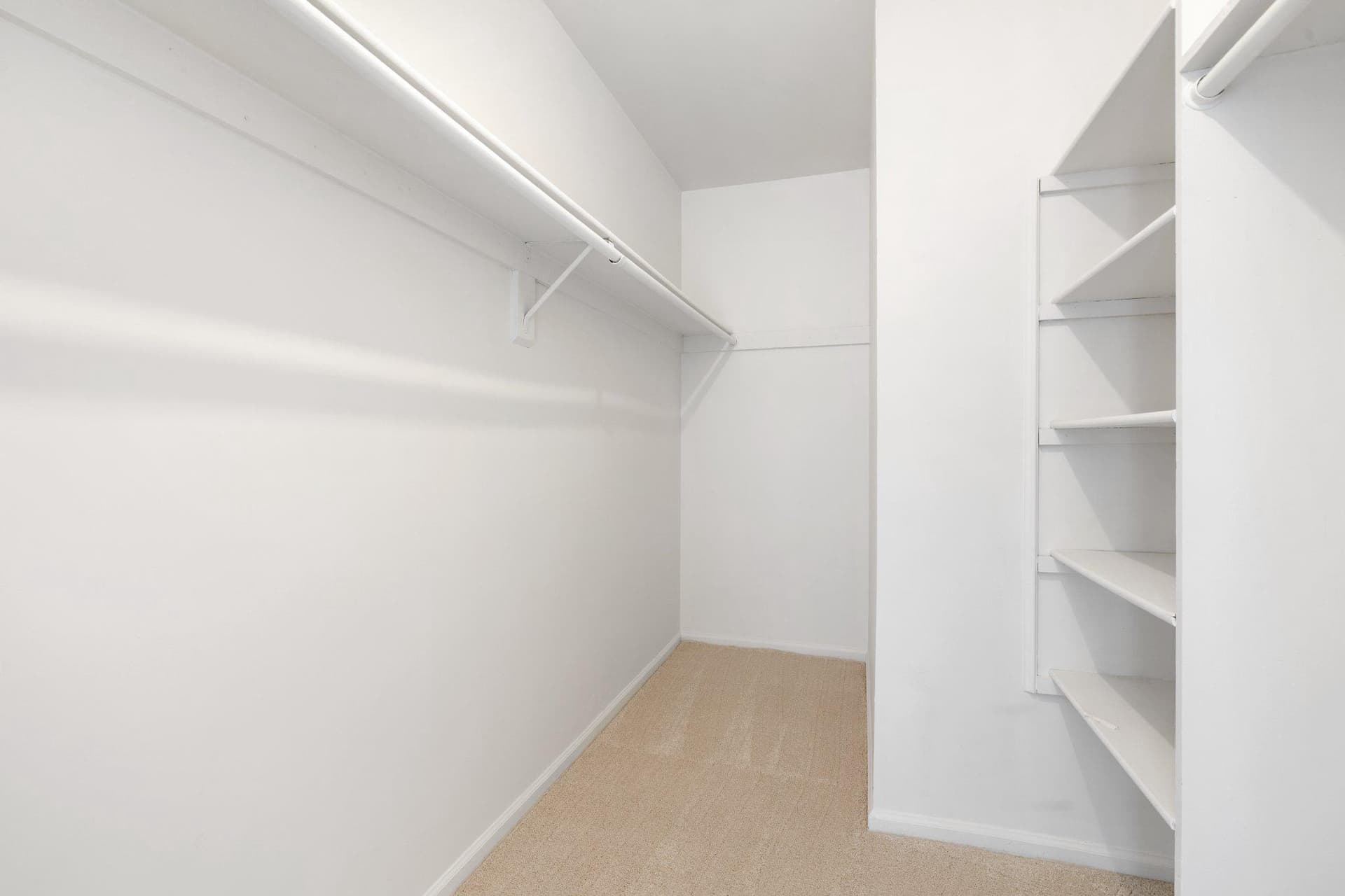14516 Oak Cluster Drive photo 19