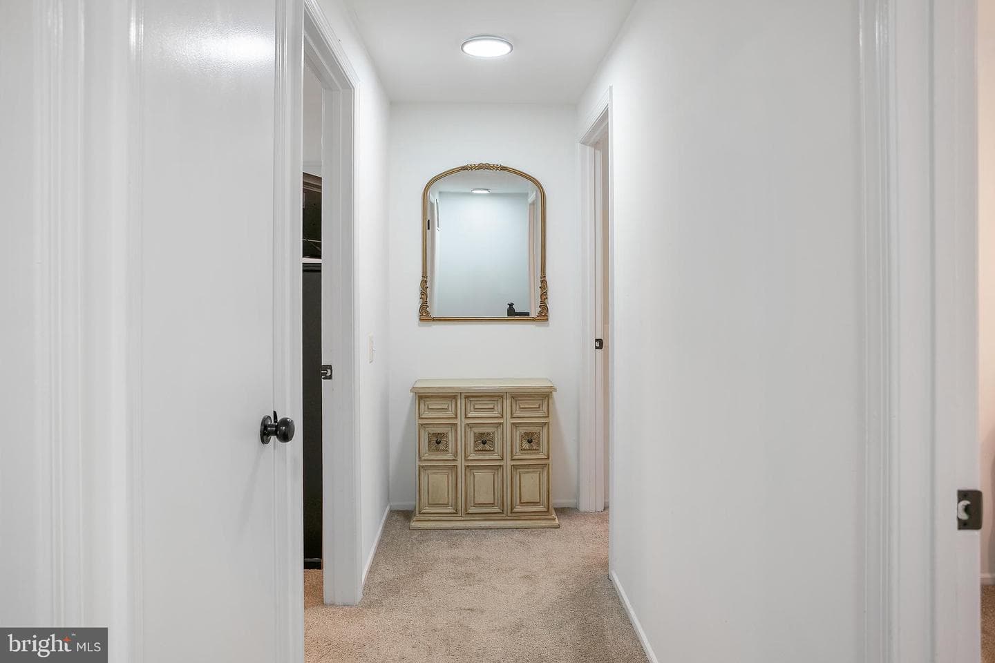 10103 Sassafras Woods Court photo 12