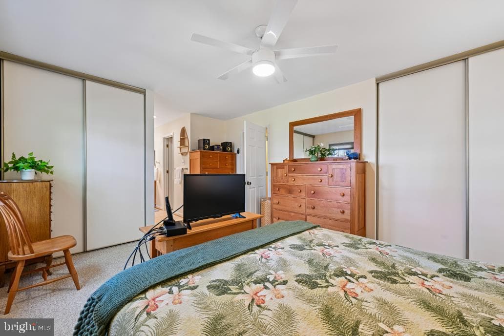 10924 Adare Drive photo 32
