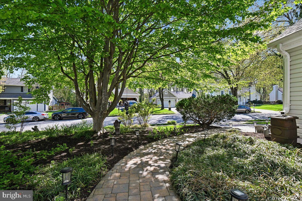 10924 Adare Drive photo 4