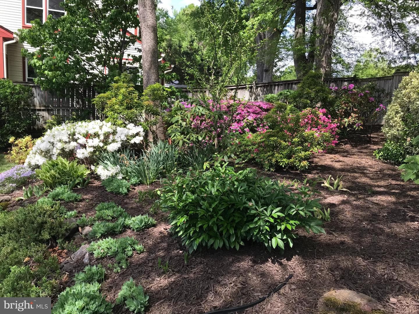6730 Anders Terrace photo 33