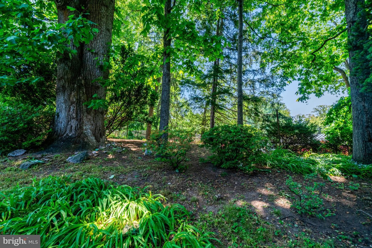 3219 Norfolk Lane photo 49