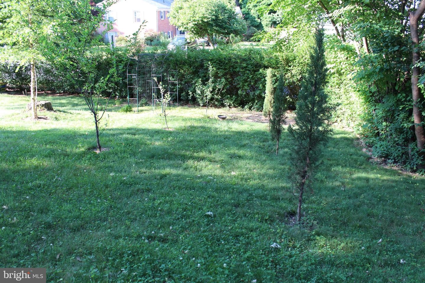 10500 Linfield Street photo 52