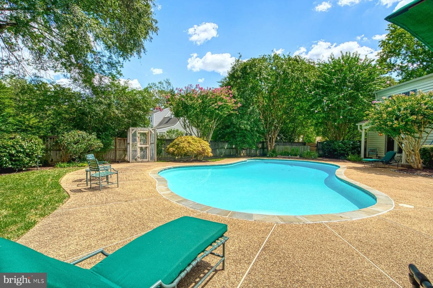 9211 Forest Haven Drive photo 47