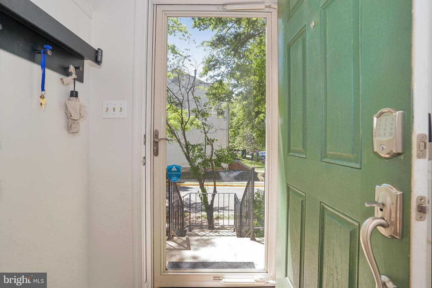 14618 Stream Pond Drive photo 3