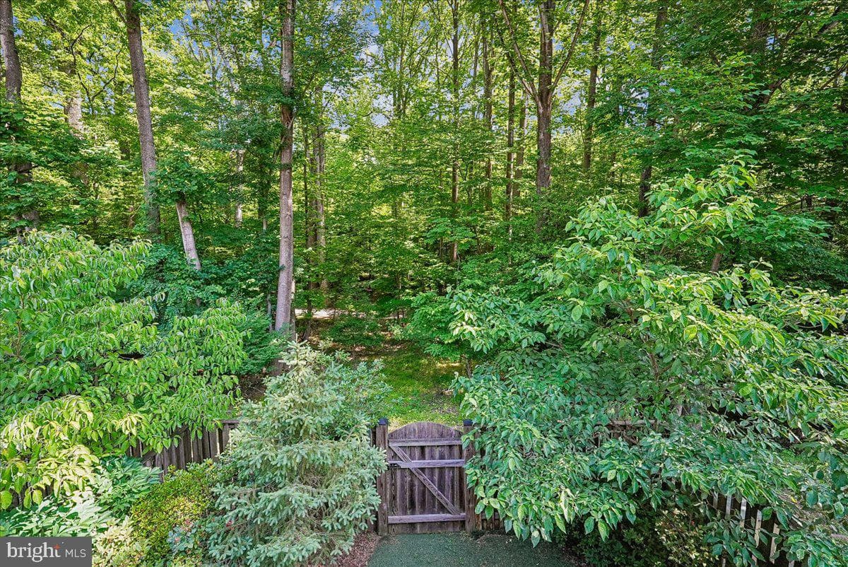 2331 Middle Creek Lane photo 6
