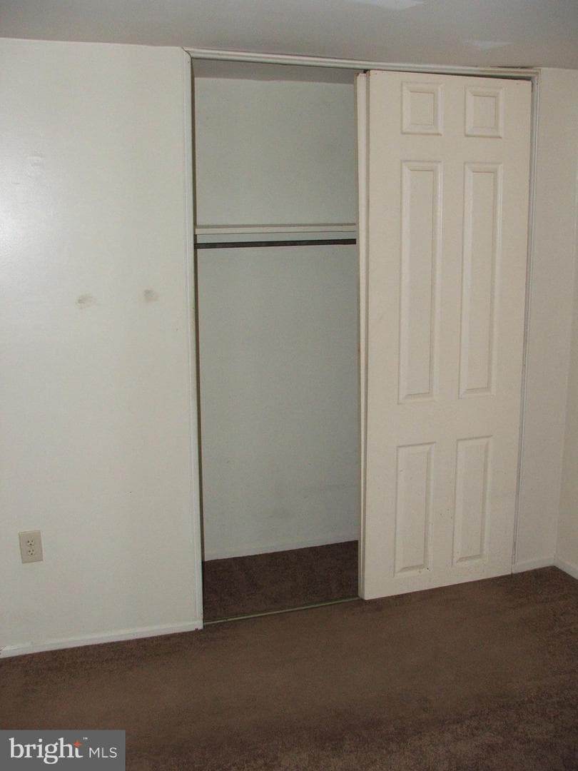 10210 Sassafras Woods Court photo 13