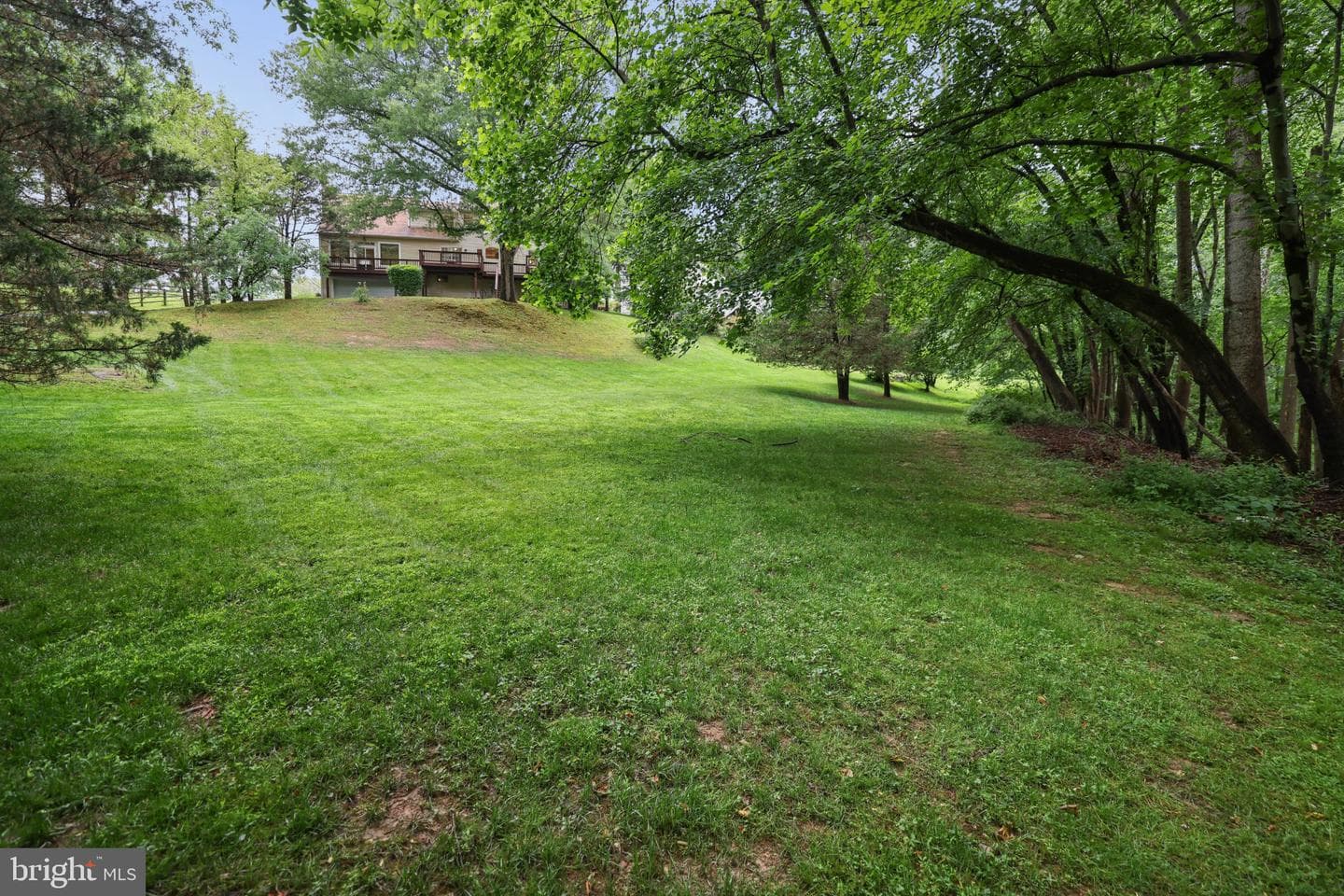 9718 Locust Hill Drive photo 35