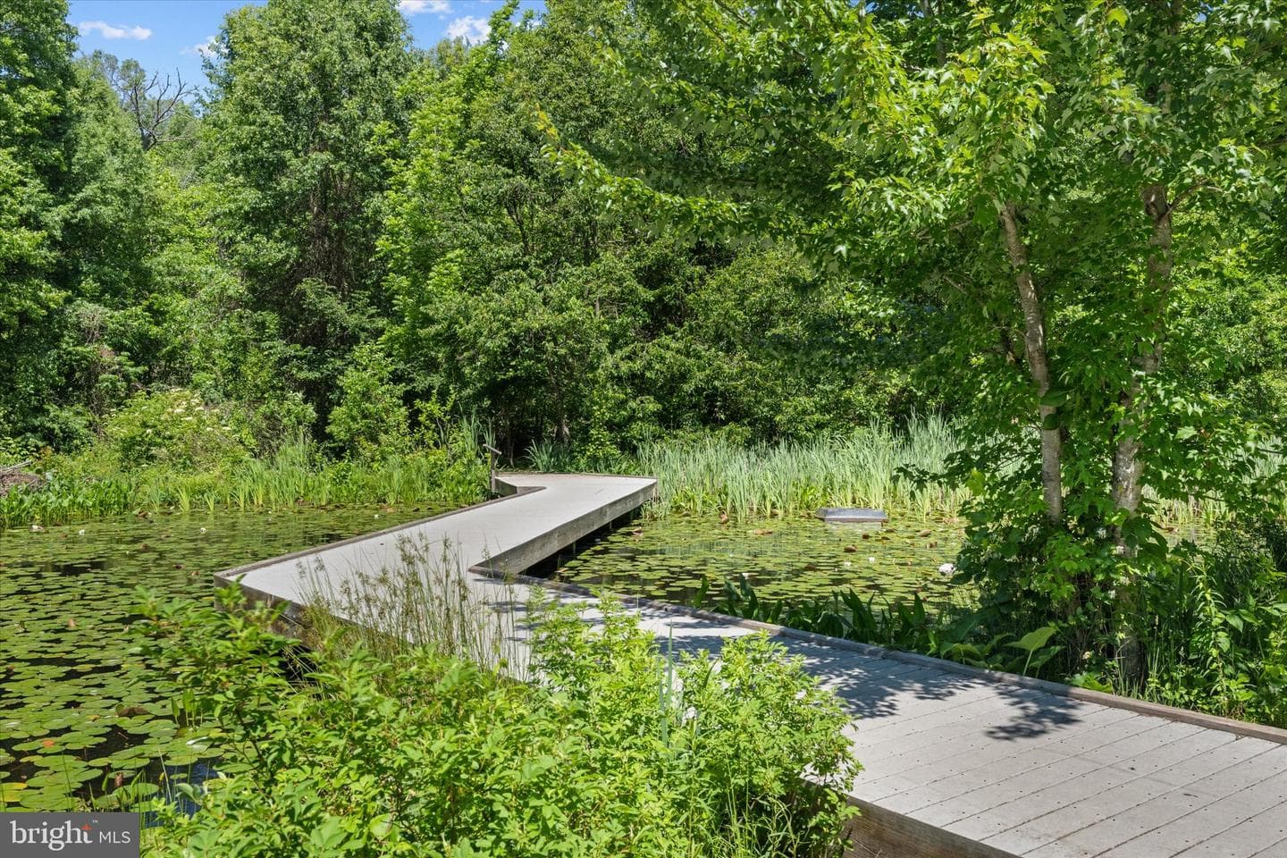 5310 Indian Rock Road photo 42