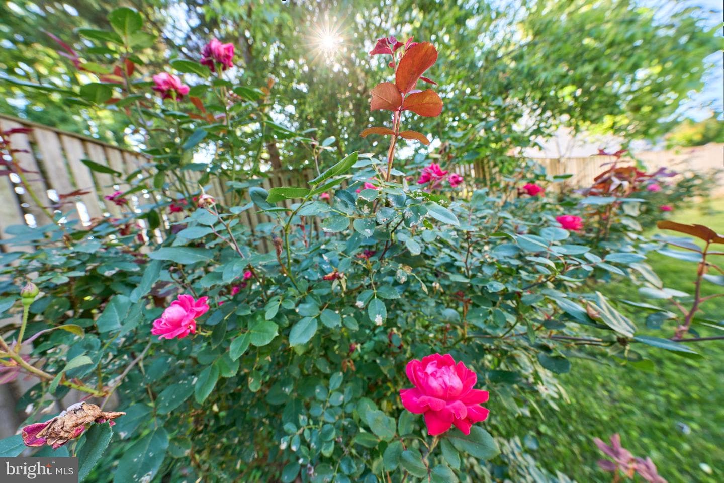 5416 Hedgerow Court photo 93