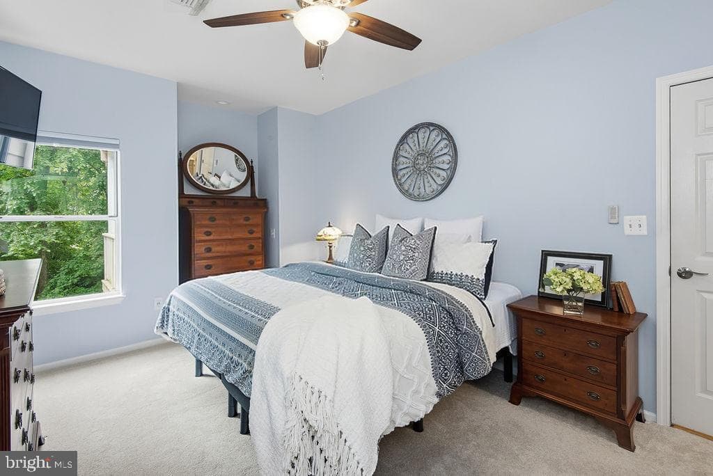 14321 Climbing Rose Way #204 photo 15