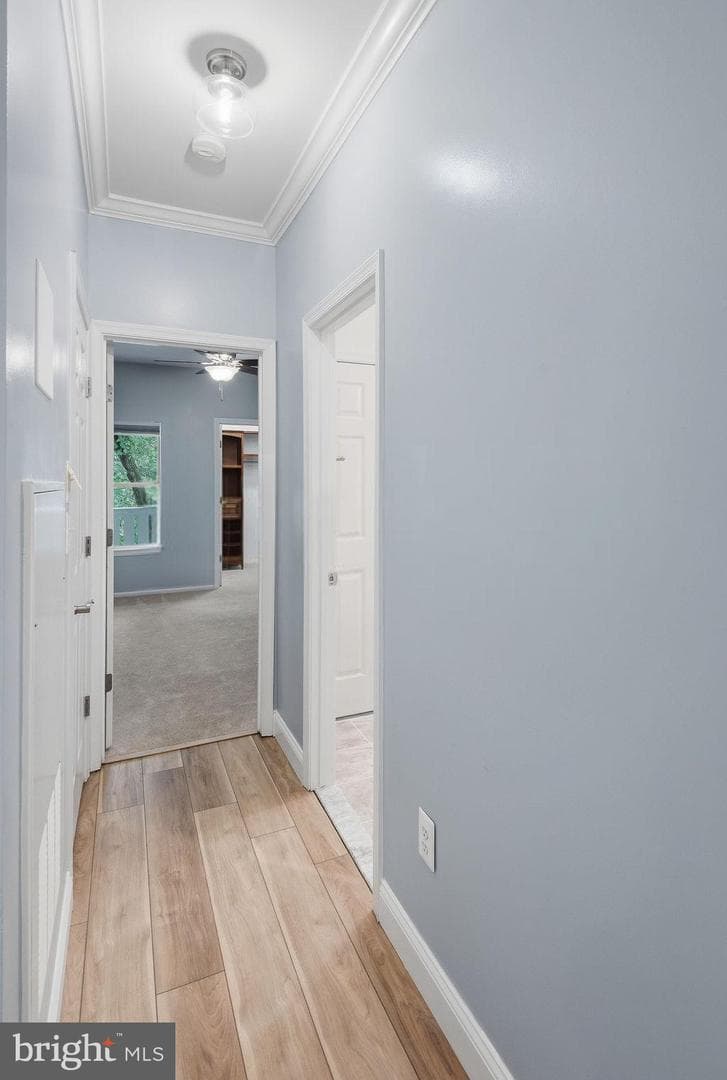 14321 Climbing Rose Way #204 photo 28