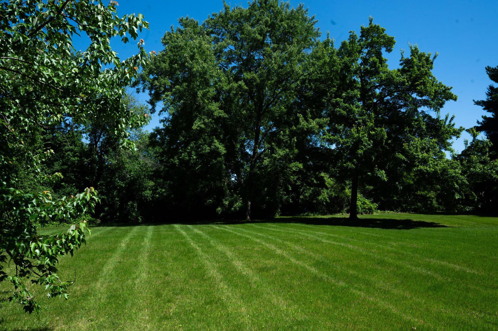 7200 Vellex Lane photo 2