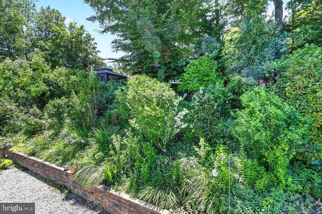 8471 Great Lake Lane photo 42