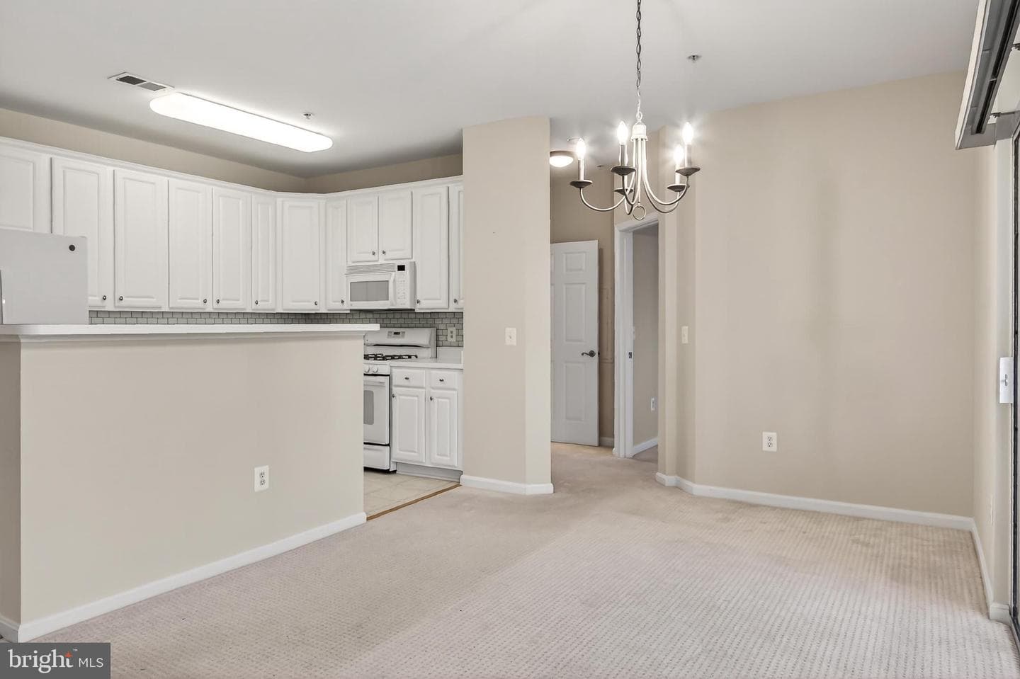 11575 Cavalier Landing Court #301 photo 20