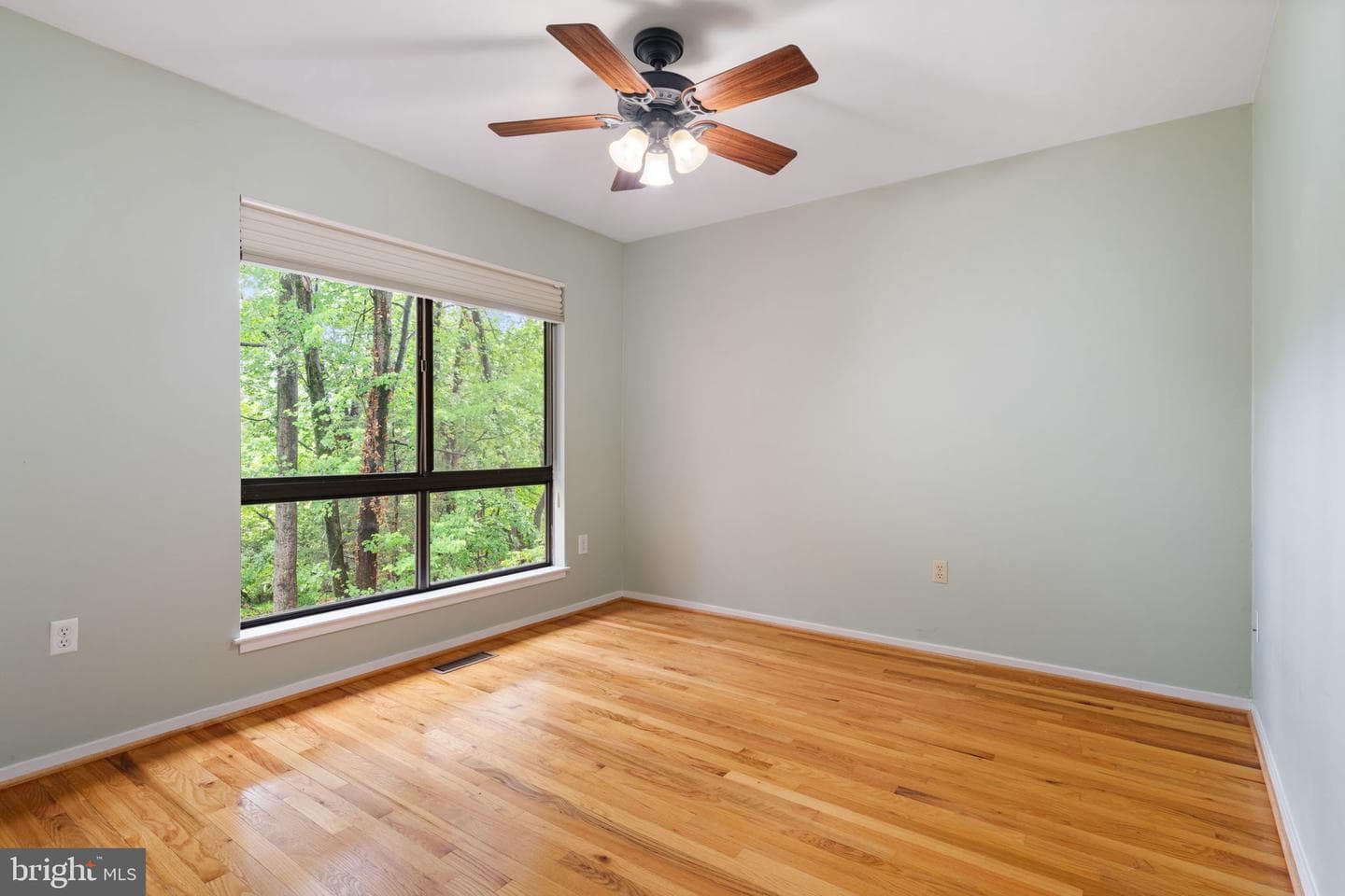 11733 Indian Ridge Road photo 21