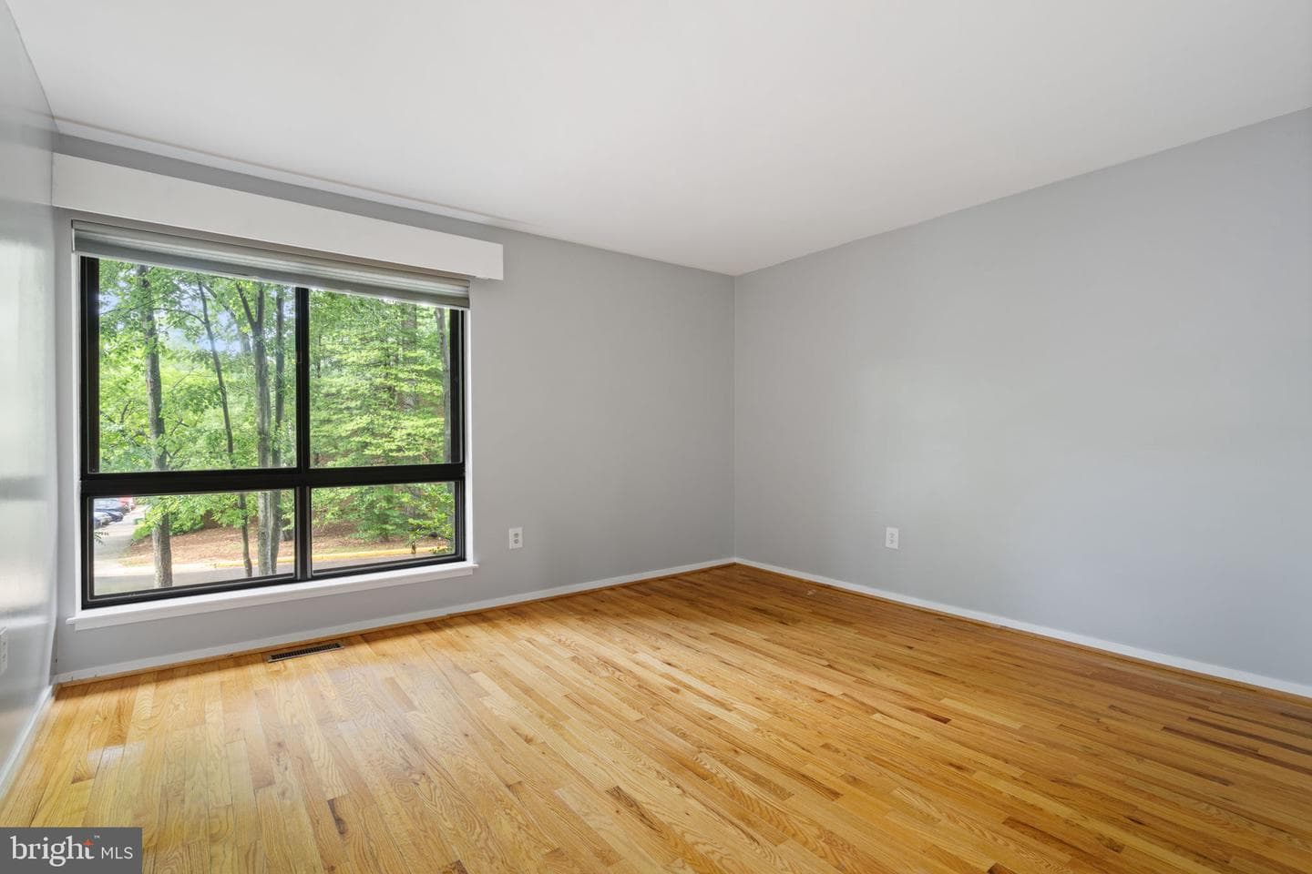 11733 Indian Ridge Road photo 23