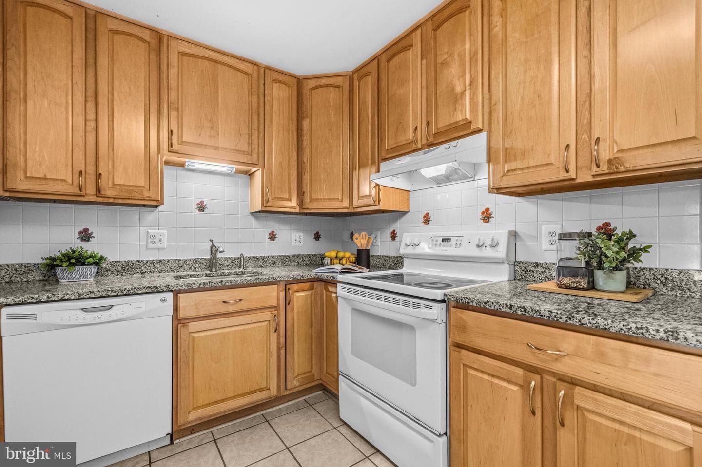 9822 Sweet Mint Drive photo 10