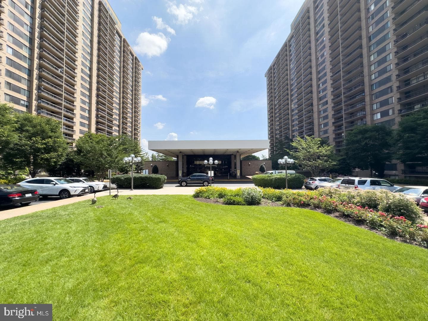 3701 S George Mason Drive #1315n photo 35