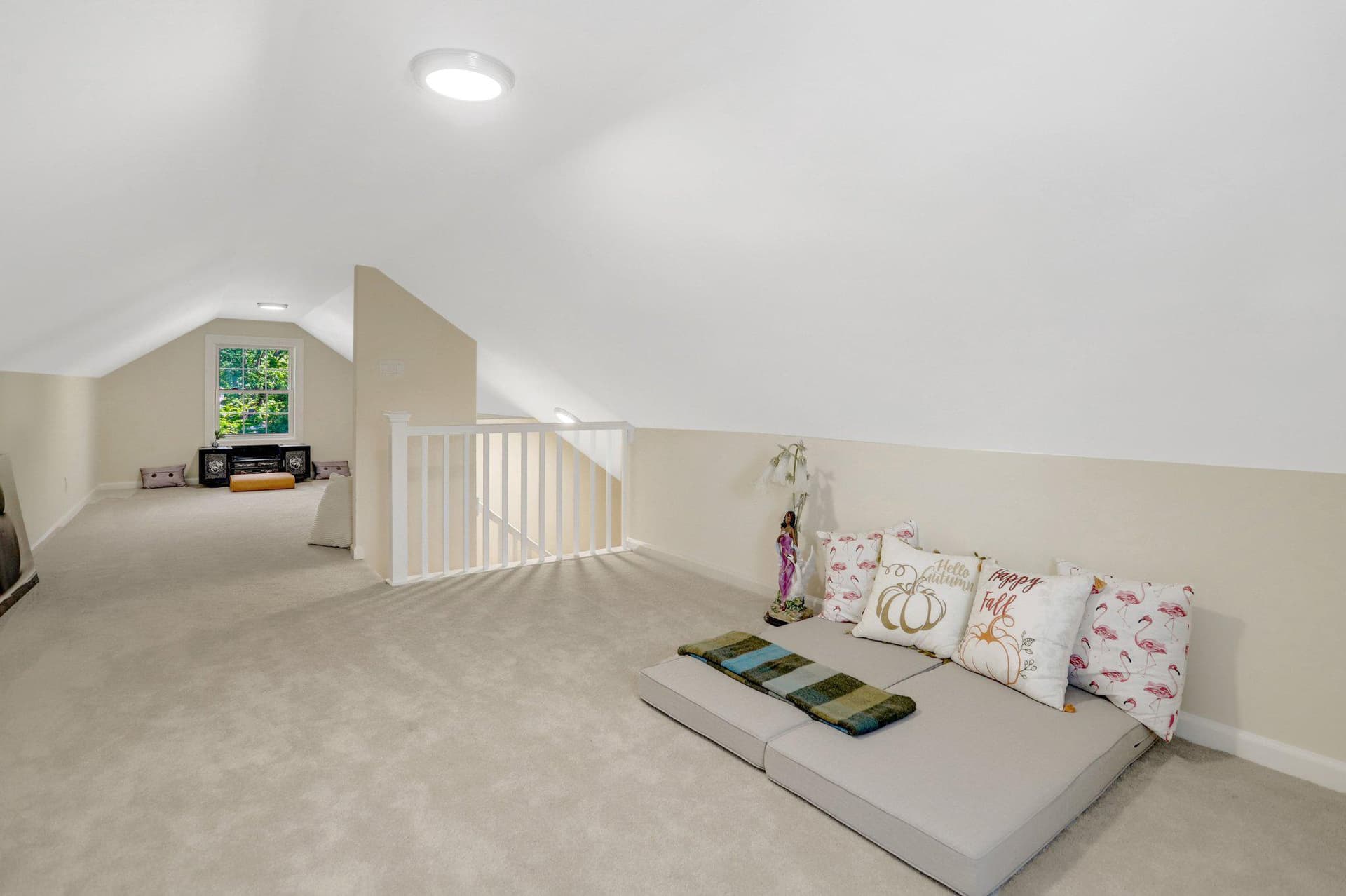 2933 Fairmont Street photo 59