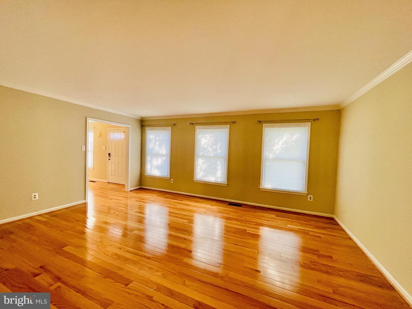 7227 Devereux Court photo 11