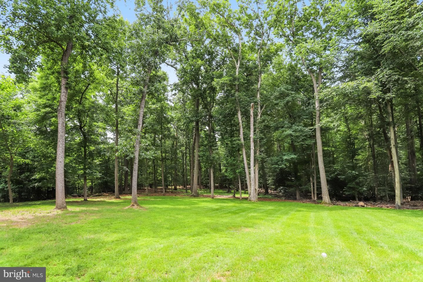 11109 Elmview Place photo 43
