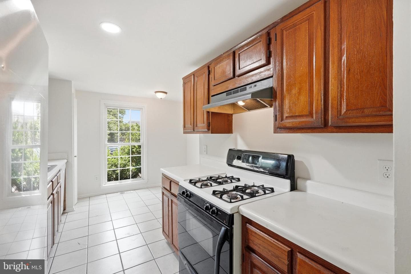 14314 Watery Mountain Court photo 10