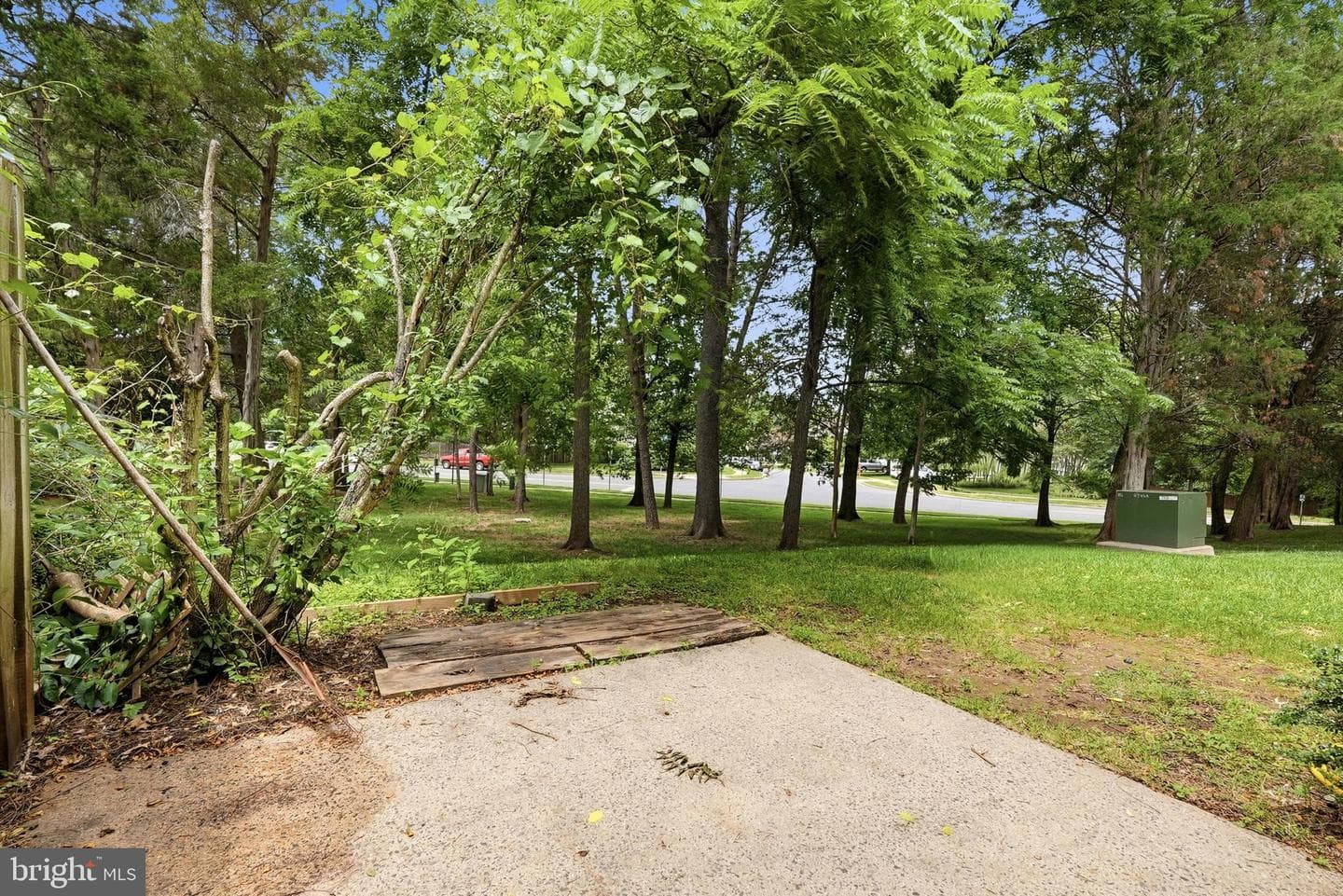 14314 Watery Mountain Court photo 34