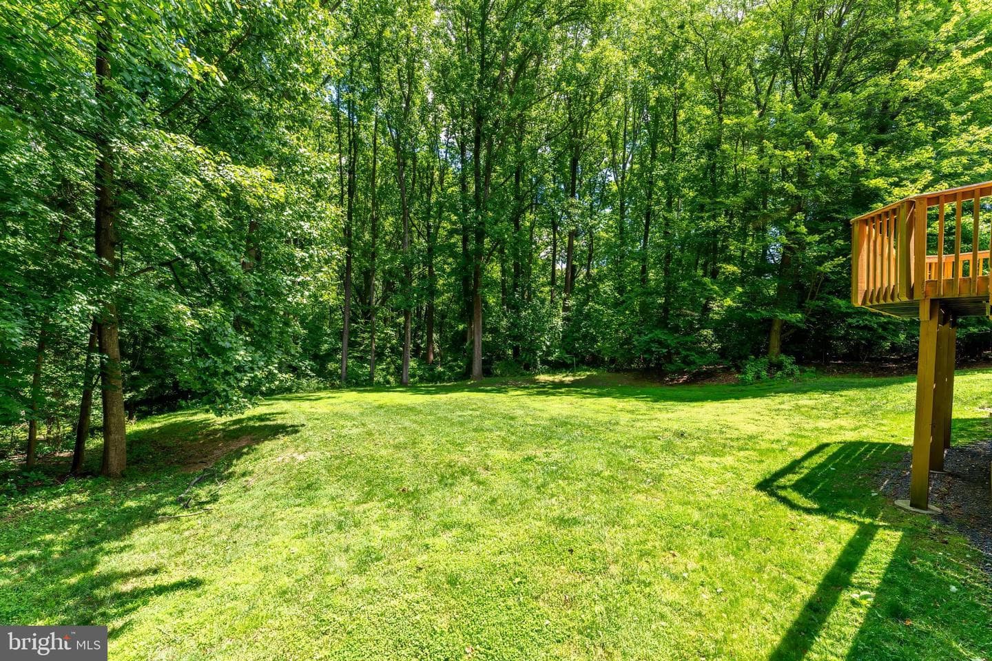 11618 Holly Briar Lane photo 69