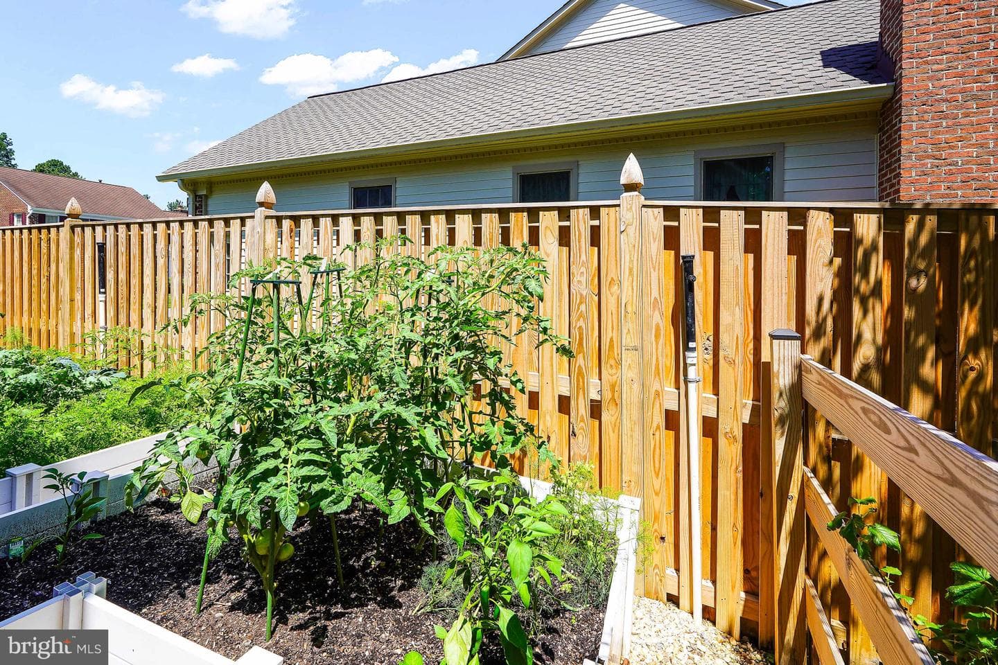 2515 Halterbreak Court photo 50