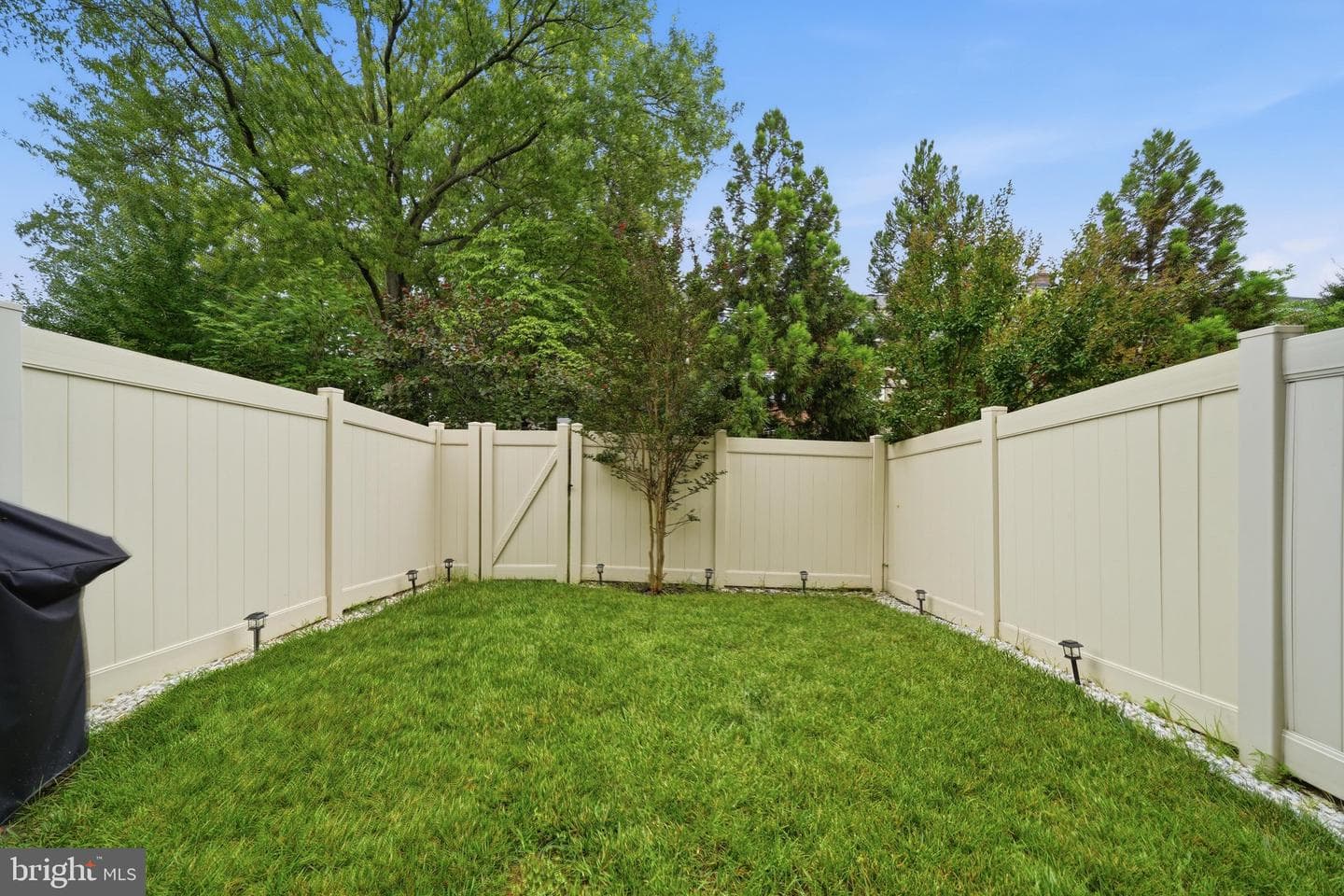 9251 Wood Violet Court photo 39