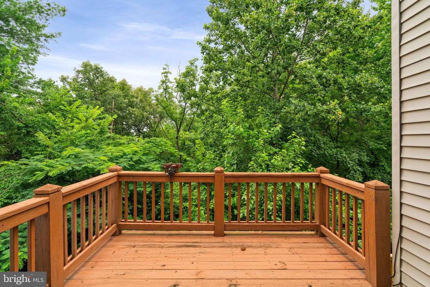 13280 Maple Creek Lane photo 47